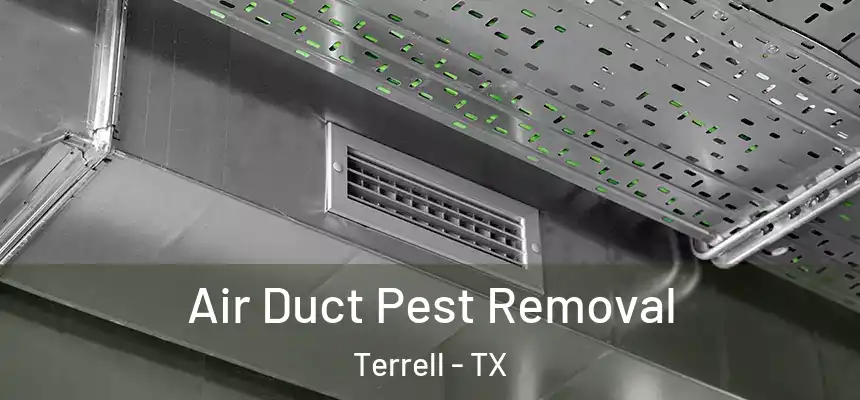 Air Duct Pest Removal Terrell - TX