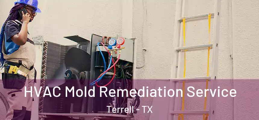 HVAC Mold Remediation Service Terrell - TX