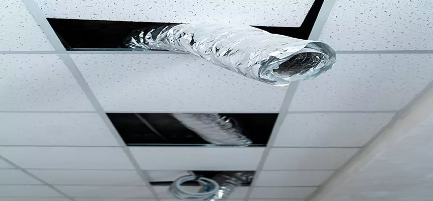 Affordable HVAC Sanitizing After Pest Removal in Terrell