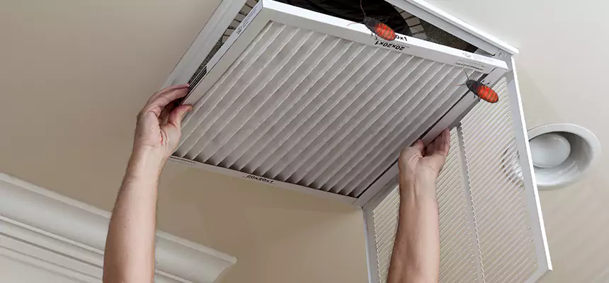 Our Insect Removal from Air Ducts Services in Terrell, TX