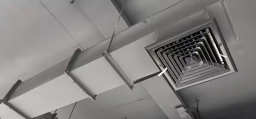 Our Rodent Droppings In Vents Services in Terrell, TX