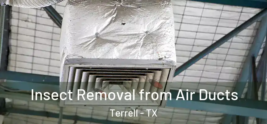  Insect Removal from Air Ducts Terrell - TX