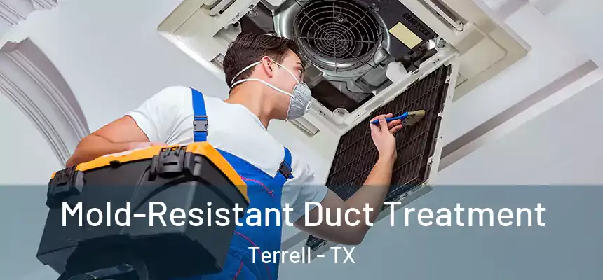  Mold-Resistant Duct Treatment Terrell - TX