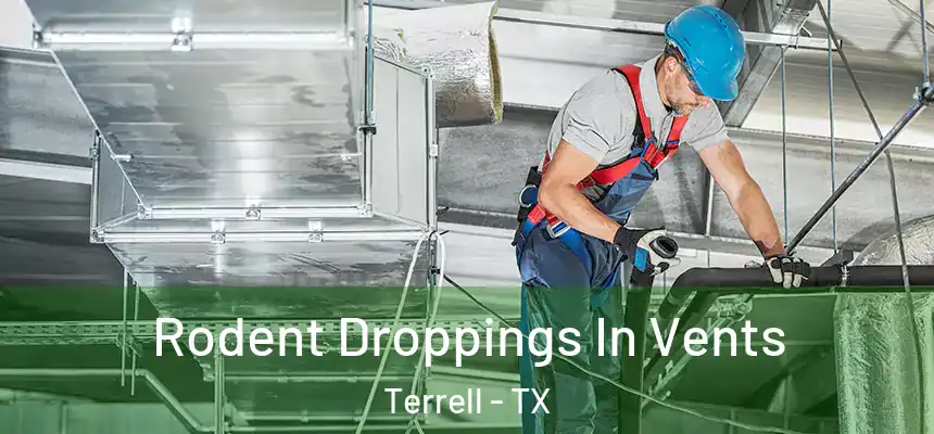 Rodent Droppings In Vents Terrell - TX
