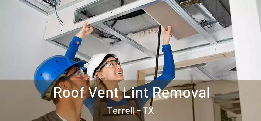 Roof Vent Lint Removal Terrell - TX