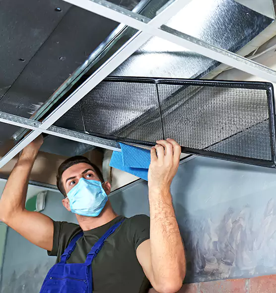 Professional Air Duct Pollen Cleaning in Terrell, TX