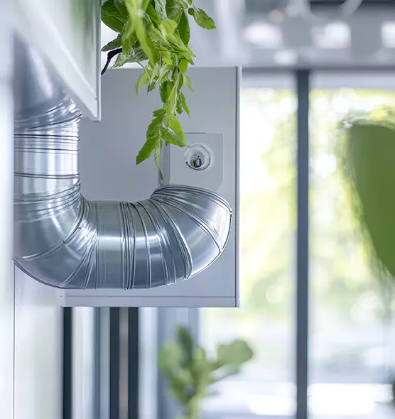 Professional Eco-Safe Dryer Vent Cleaning in Terrell, TX