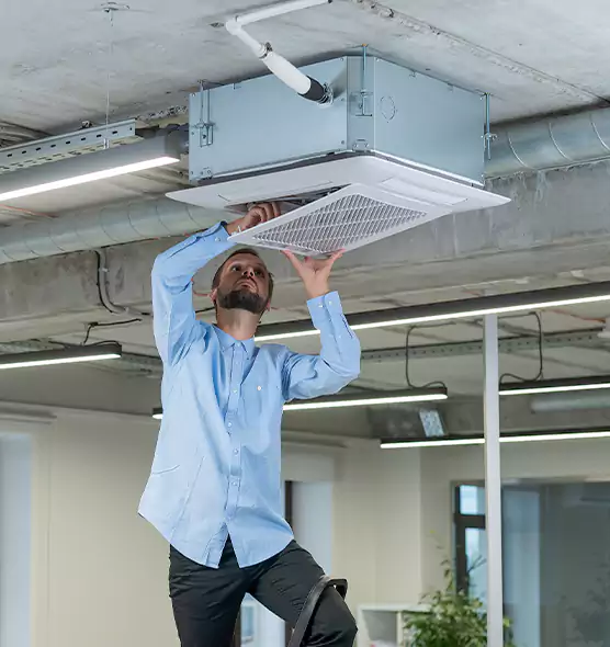 Advanced Rodent Droppings In Vents in Terrell, TX