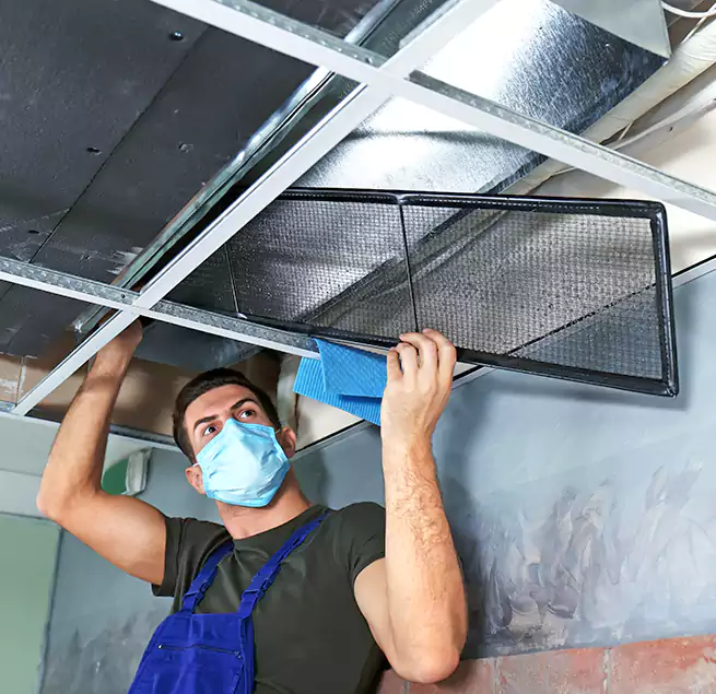 Why Homeowners Businesses Trust Us in Terrell, TX