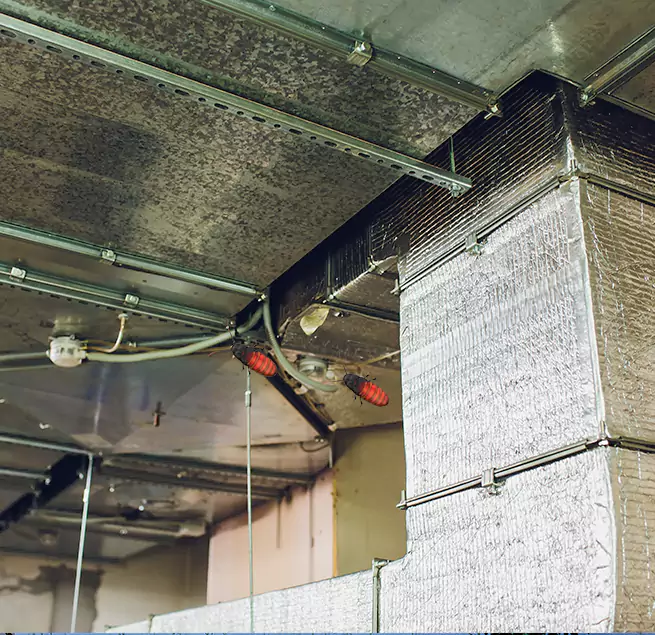 Why Homeowners & Businesses Trust Us Terrell, TX?